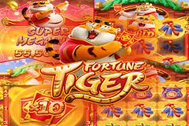 9kbo